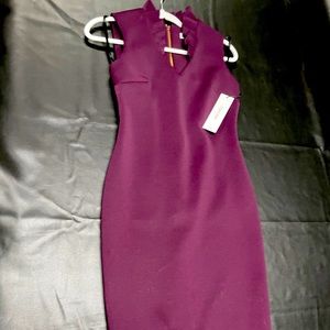 NWT Eggplant Calvin Klein  dress size 2